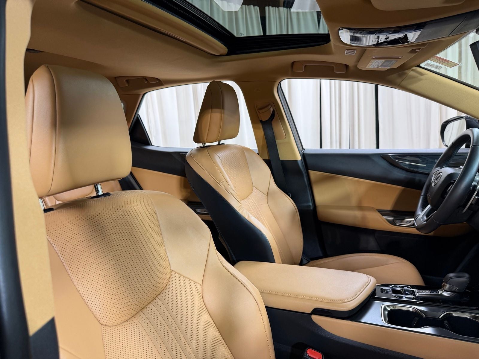 2024 Lexus NX 350h Premium