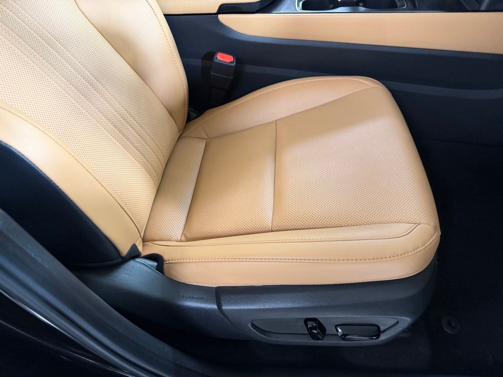 2024 Lexus NX 350h Premium