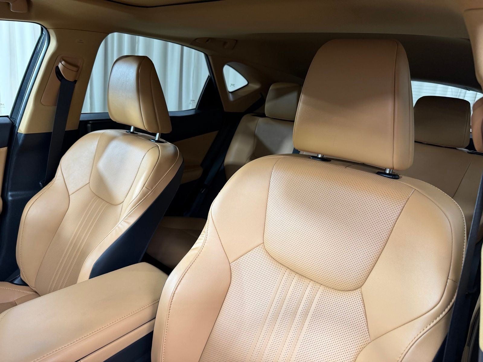 2024 Lexus NX 350h Premium