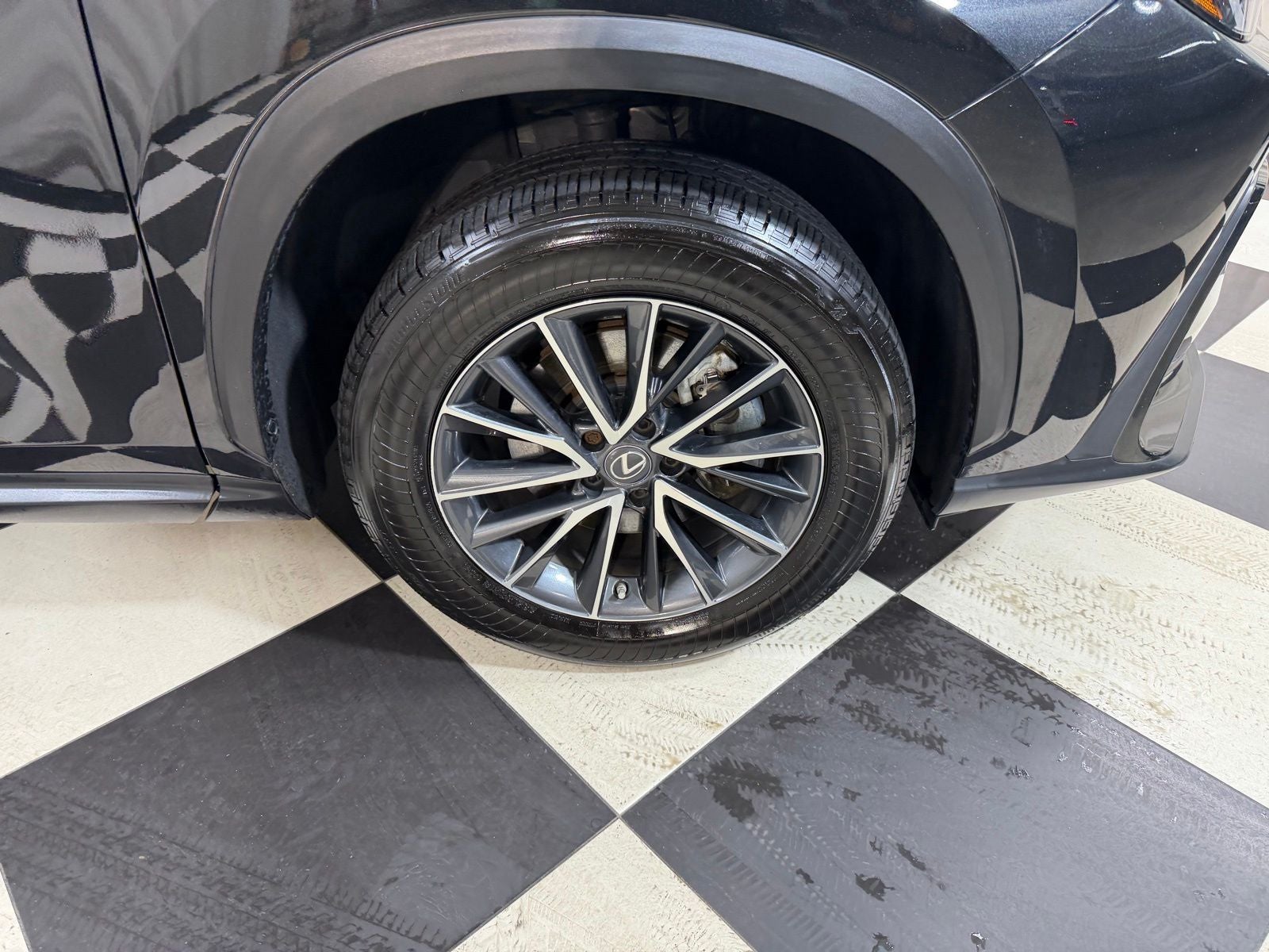 2023 Lexus NX 350h Premium