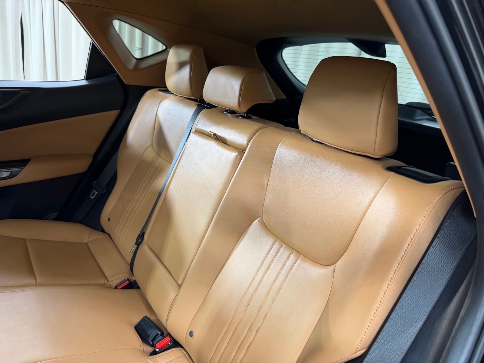 2023 Lexus NX 350h Premium