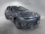 2024 Lexus NX 350h Premium