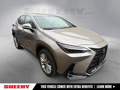 2023 Lexus NX 350 Luxury