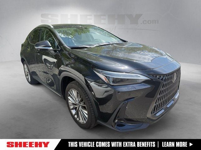 2024 Lexus NX 350 Luxury