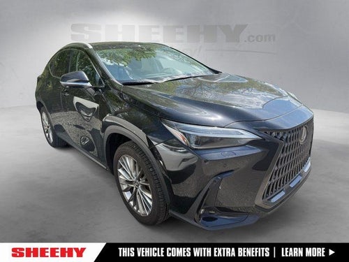 2024 Lexus NX 350 Luxury