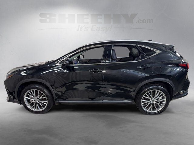 2024 Lexus NX 350 Luxury