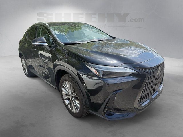 2024 Lexus NX 350 Luxury