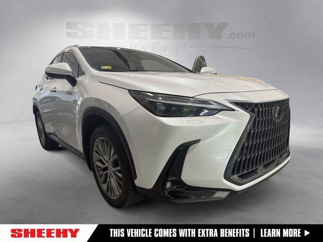 2024 Lexus NX 350 350 Luxury AWD's photo