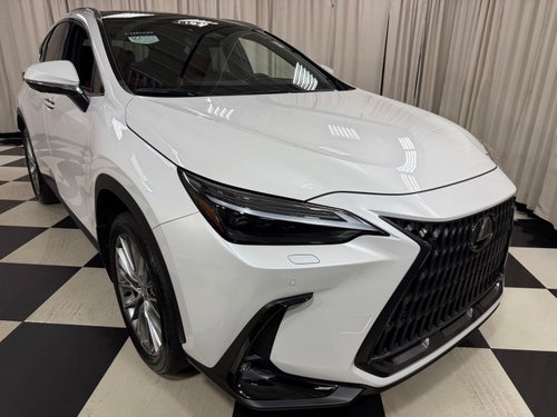 2024 Lexus NX 350 Luxury