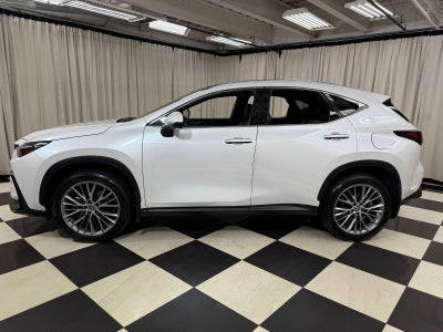 2024 Lexus NX 350 Luxury