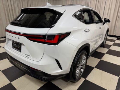 2024 Lexus NX 350 Luxury
