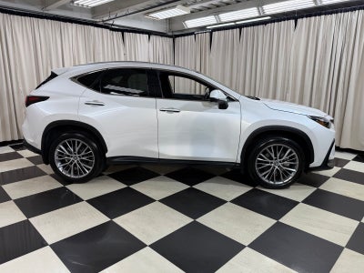 2024 Lexus NX 350 Luxury