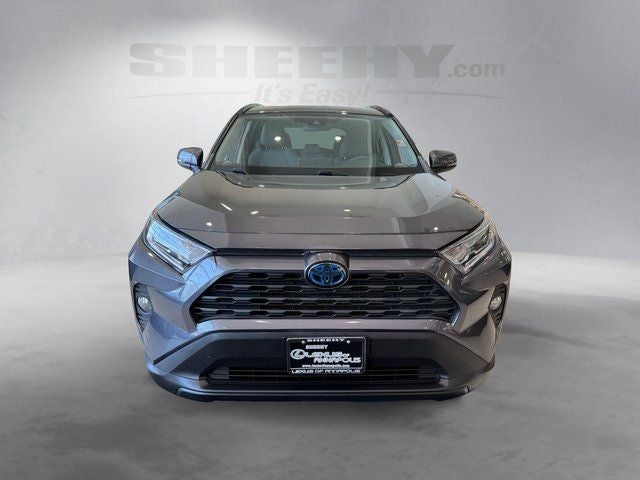 2019 Toyota RAV4 Hybrid XLE