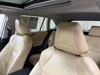 2024 Toyota Rav4 Hybrid XLE Premium