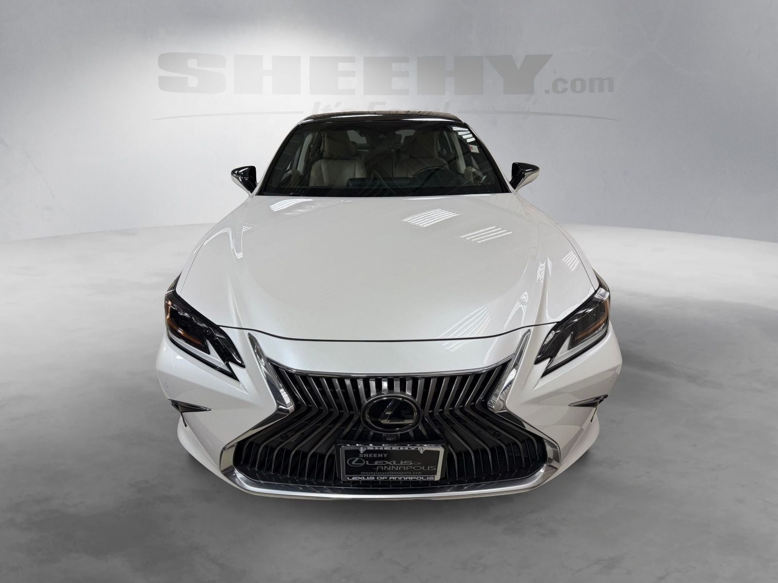 2019 Lexus ES 350 Ultra Luxury