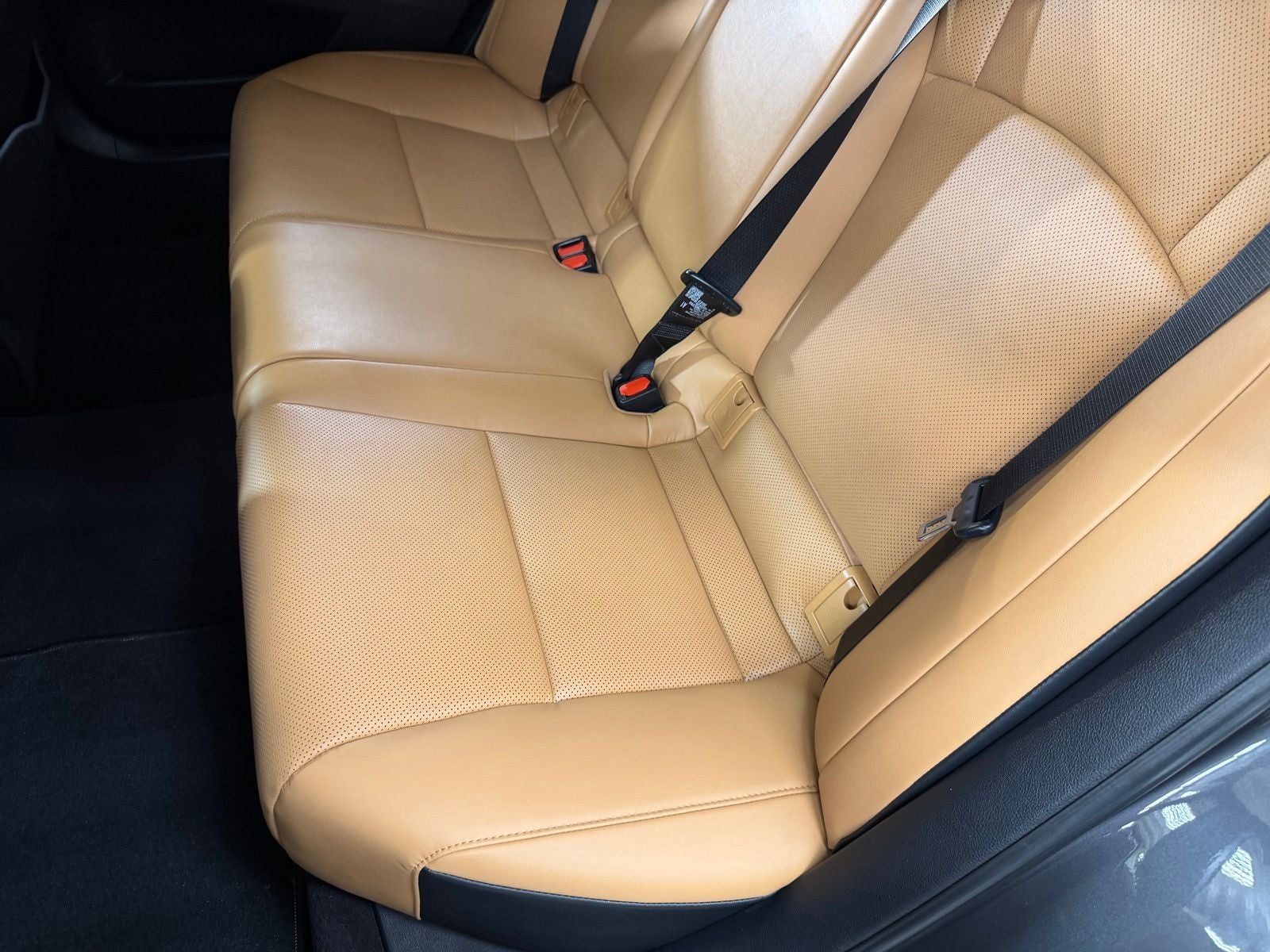 2024 Lexus ES 350