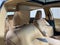 2025 Lexus Es ES 350