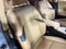 2025 Lexus Es ES 350