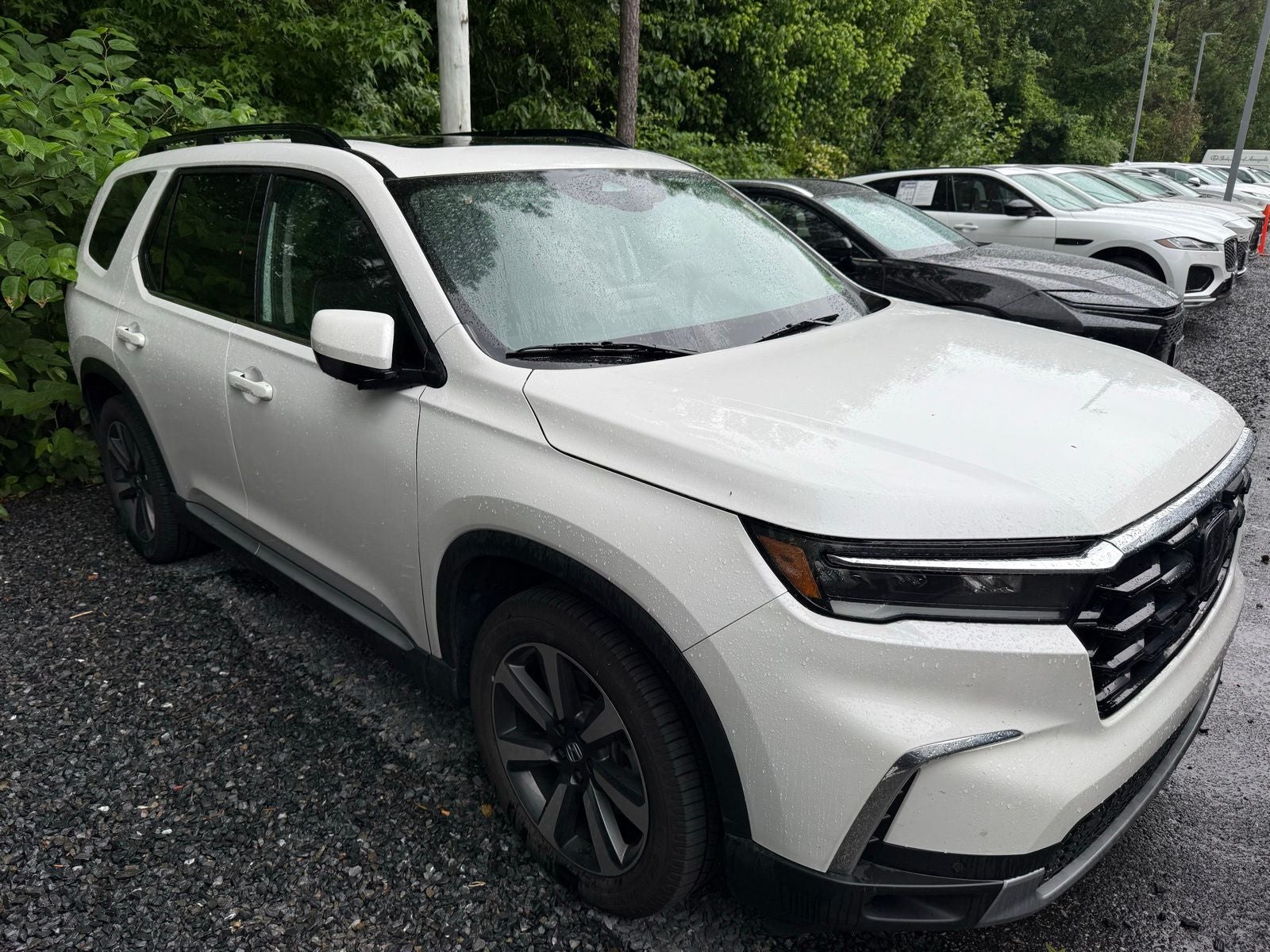 2023 Honda Pilot Elite