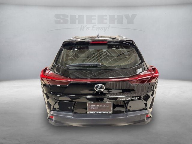 2025 Lexus UX 300h Premium