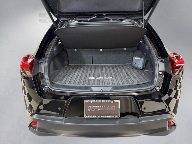2025 Lexus UX 300h Premium