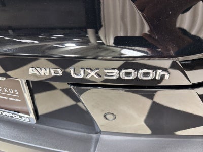 2025 Lexus UX 300h Premium