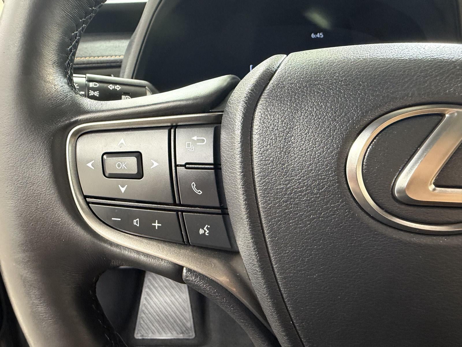 2025 Lexus UX UX 300h Premium