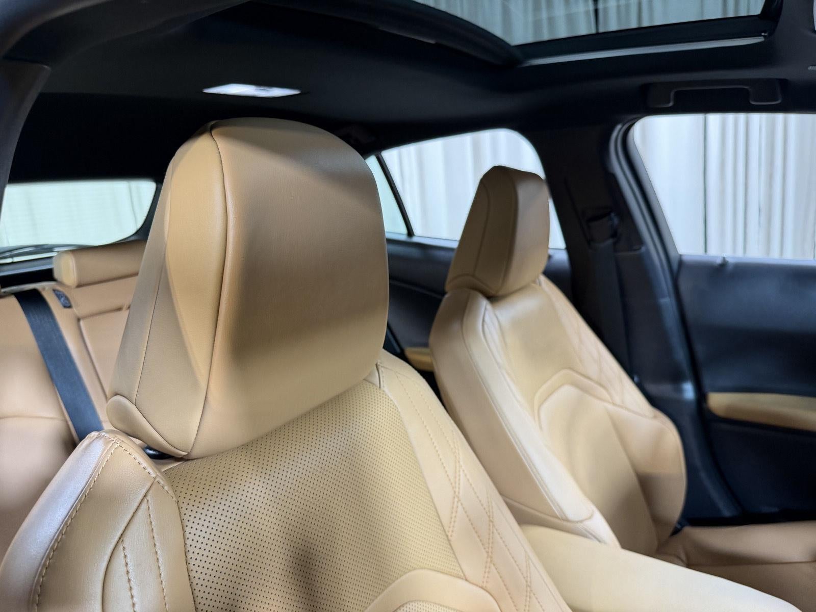 2025 Lexus UX UX 300h Premium