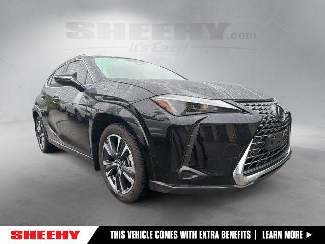 2025 Lexus UX 300h 300h Premium AWD's photo