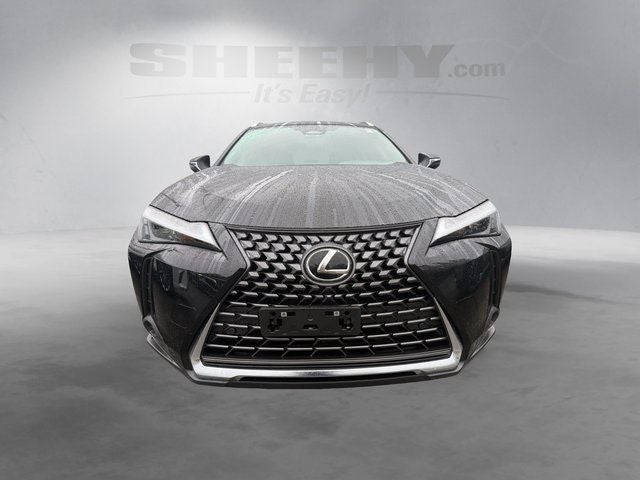 2025 Lexus UX 300h Premium