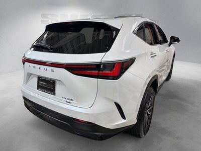 2024 Lexus NX 350 Base