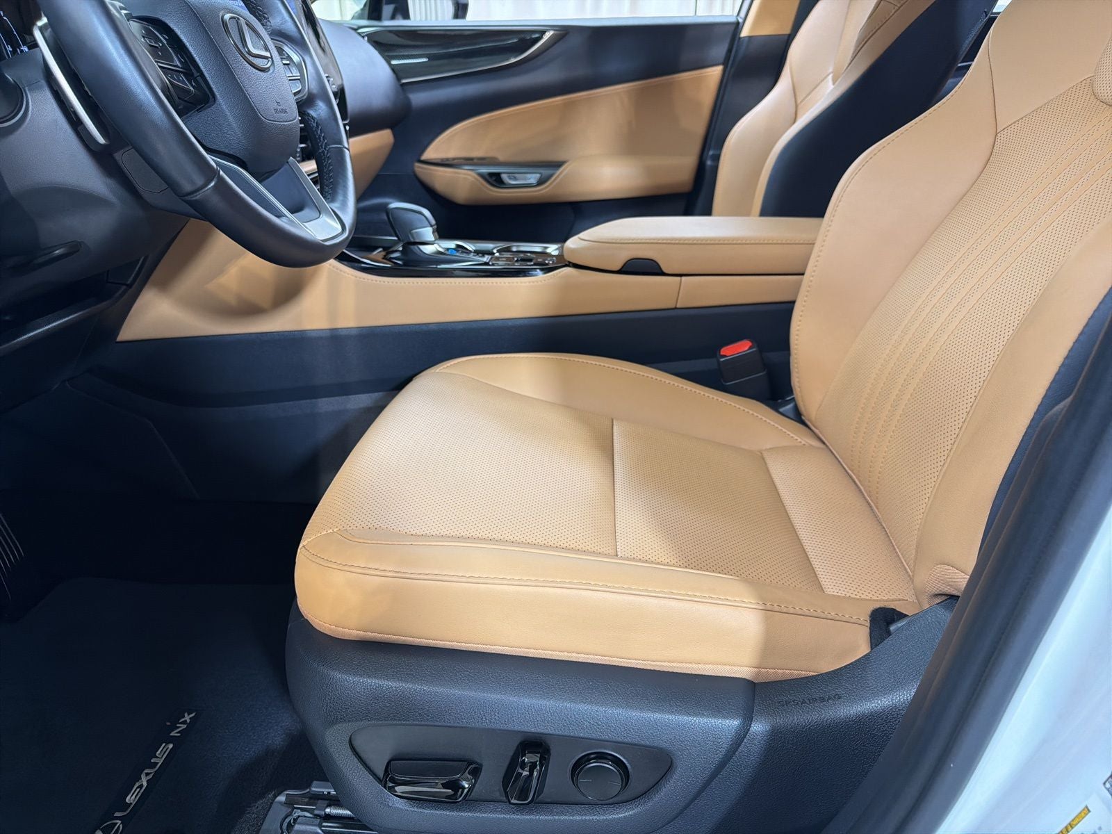 2024 Lexus NX 350 Base