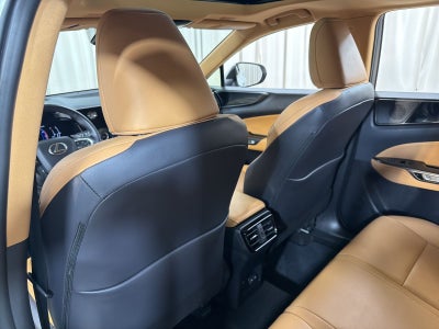 2024 Lexus NX 350 Base