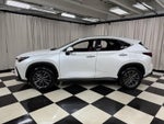 2024 Lexus Nx NX 350