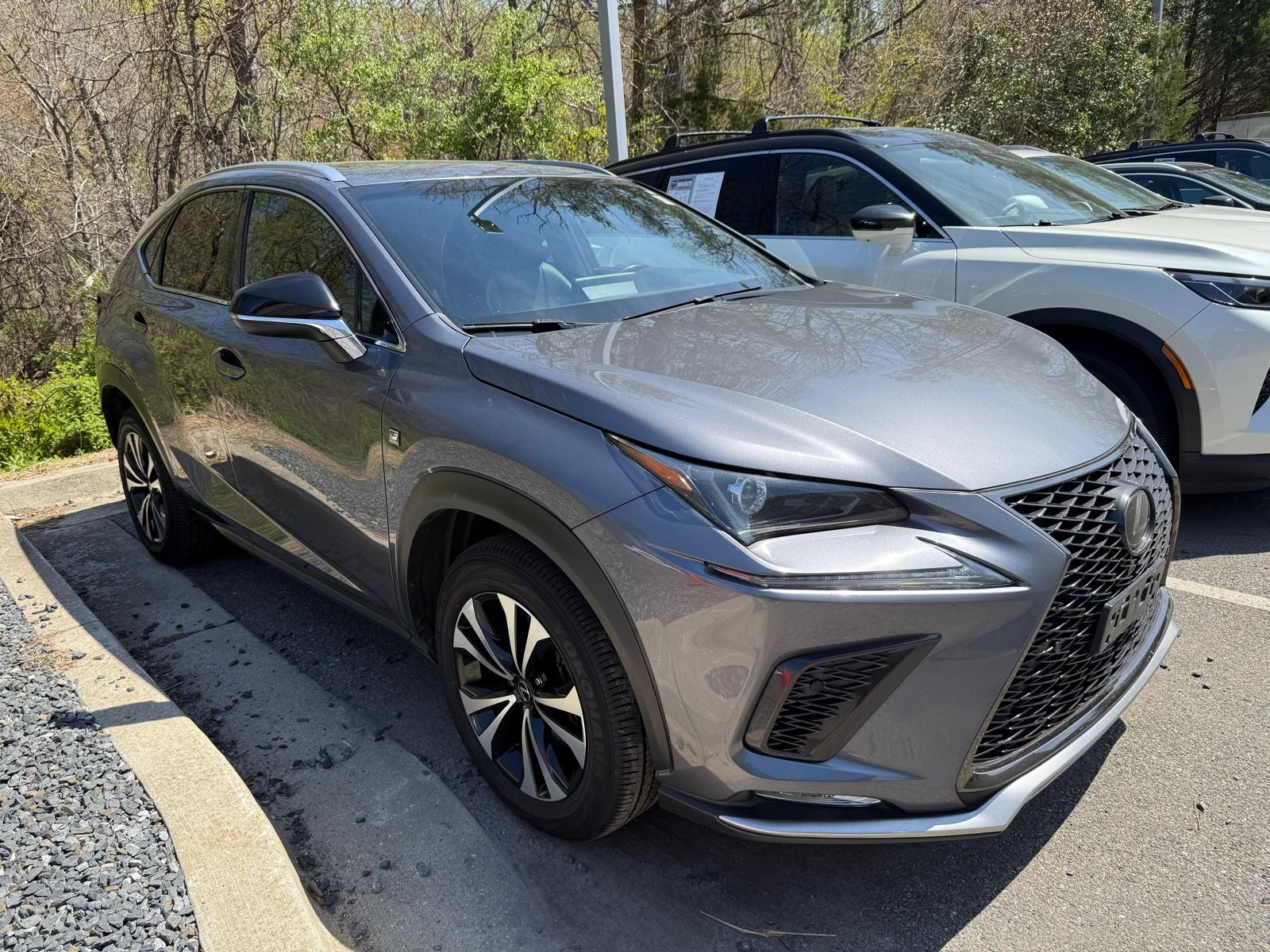 2019 Lexus NX 300 F Sport