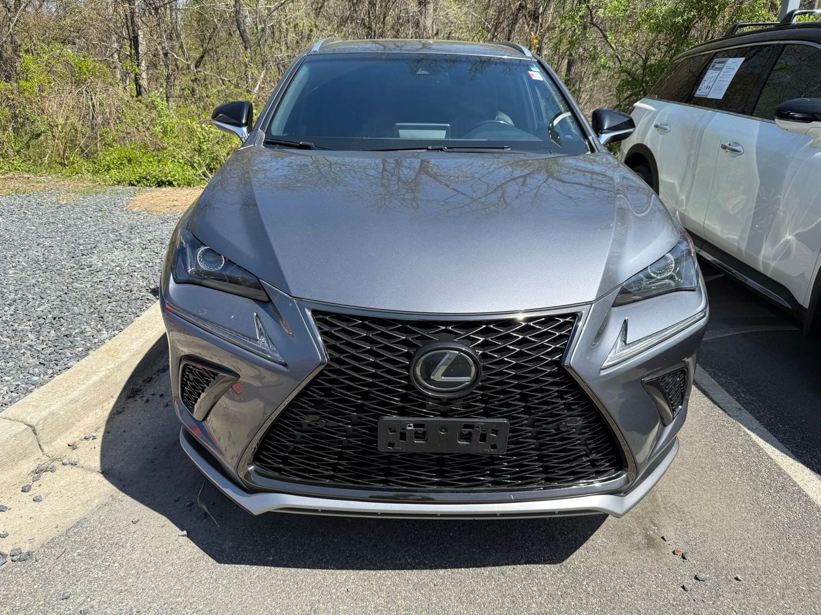 2019 Lexus NX 300 F Sport