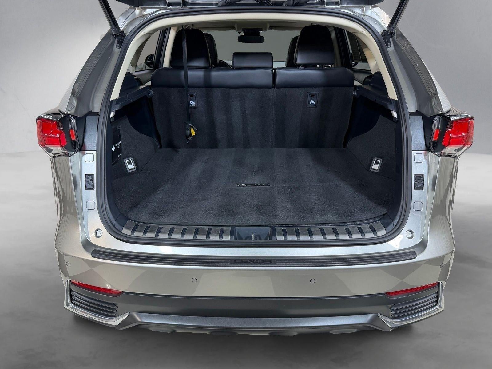 2019 Lexus NX 300h