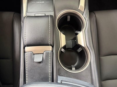 2019 Lexus NX 300h