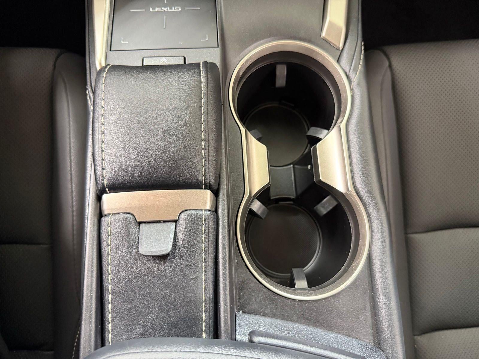 2019 Lexus NX 300h