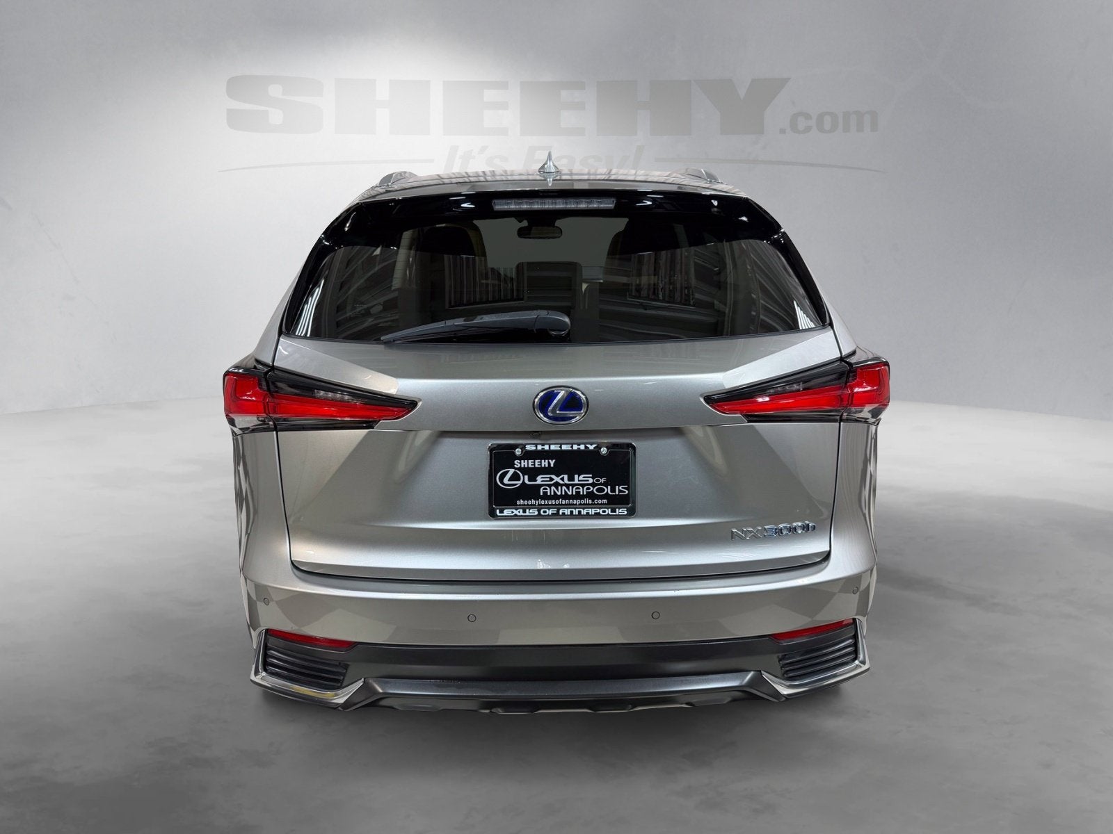2019 Lexus NX 300h