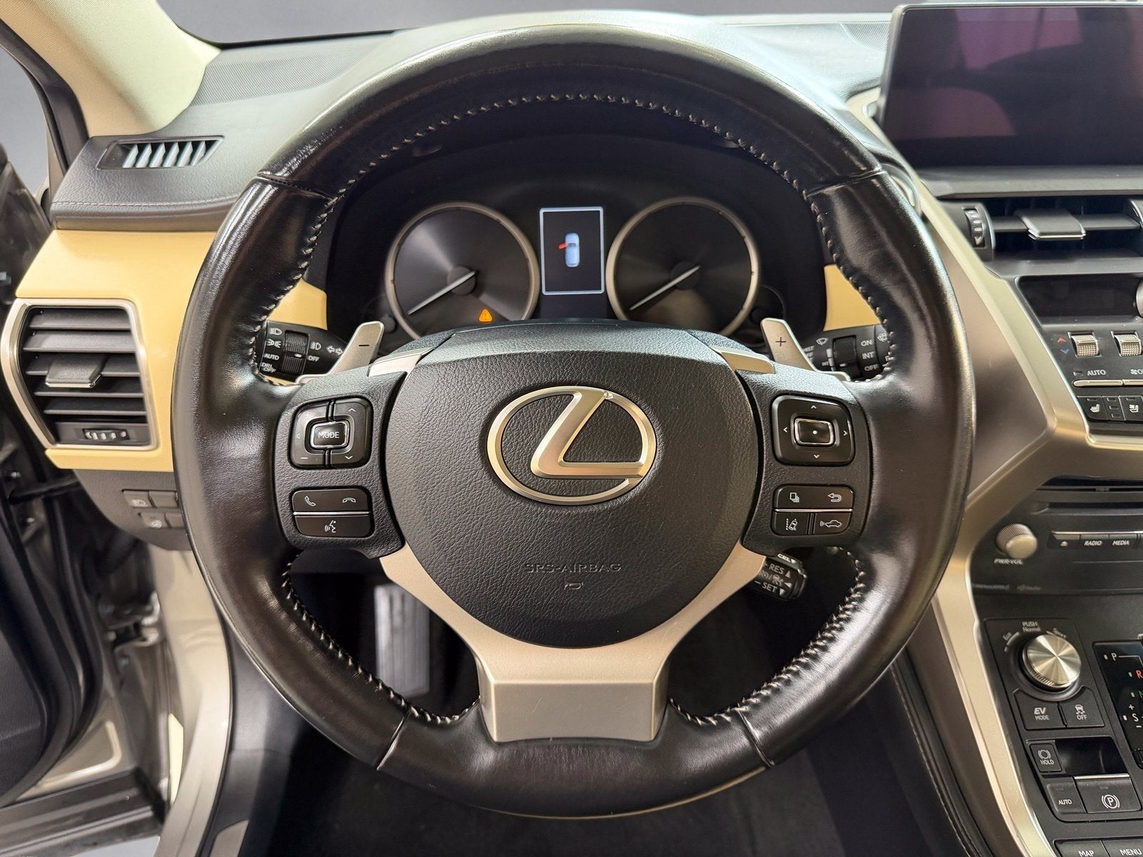 2019 Lexus NX 300h