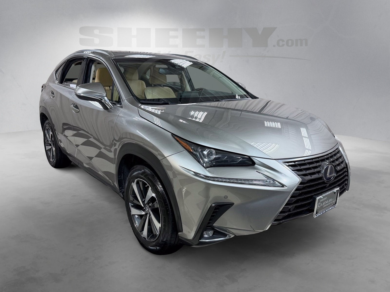 2019 Lexus NX 300h