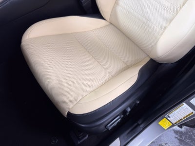 2019 Lexus NX 300h