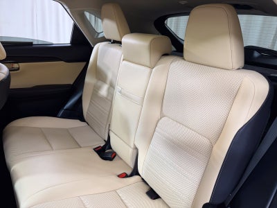 2019 Lexus NX 300h