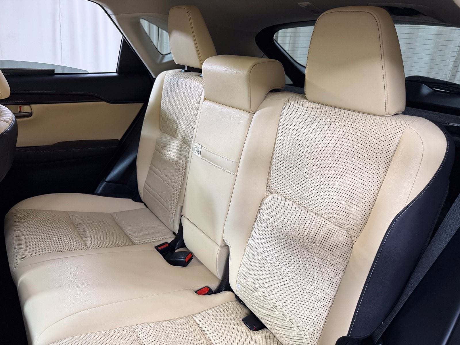 2019 Lexus NX 300h