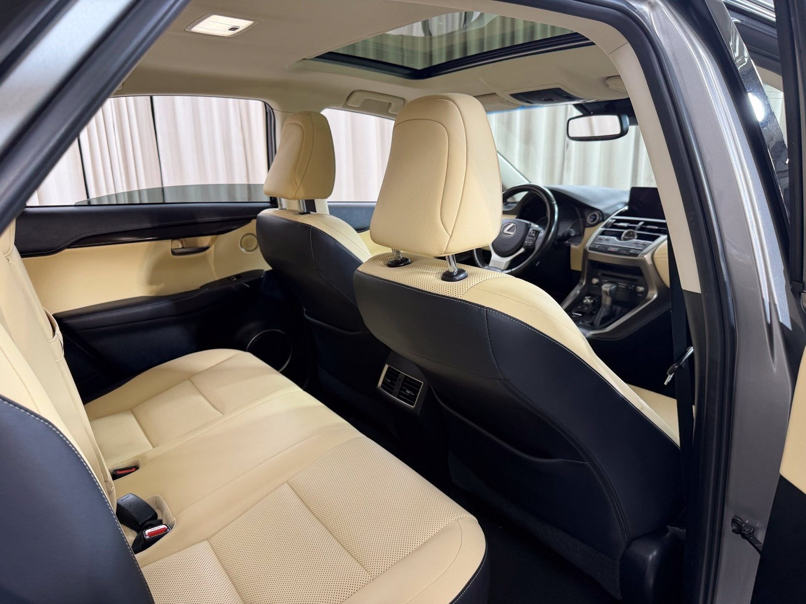 2019 Lexus NX 300h