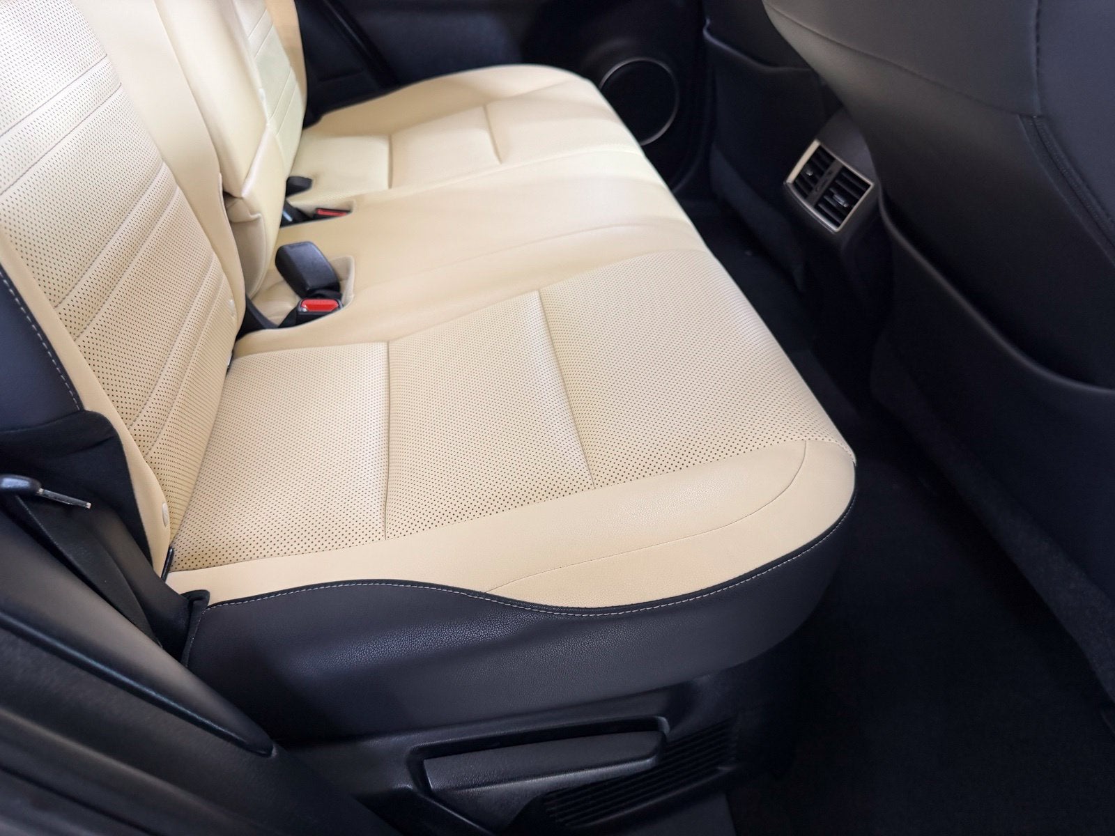 2019 Lexus NX 300h