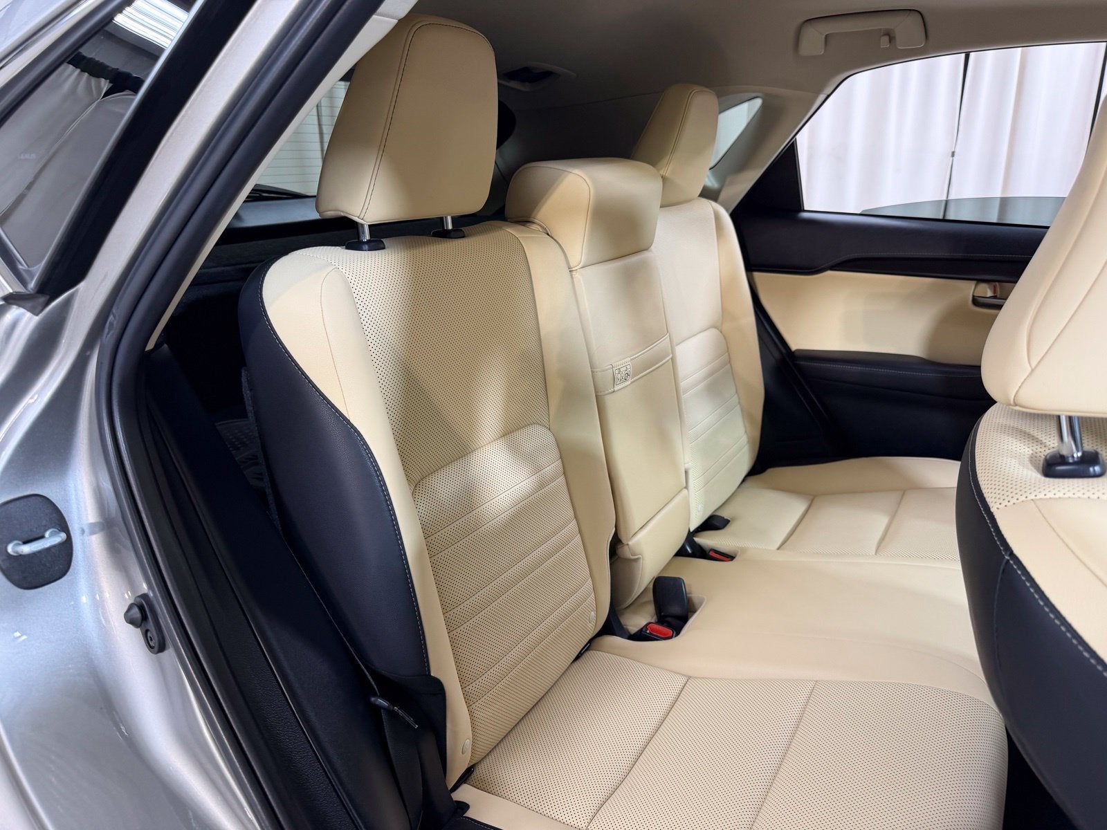 2019 Lexus NX 300h