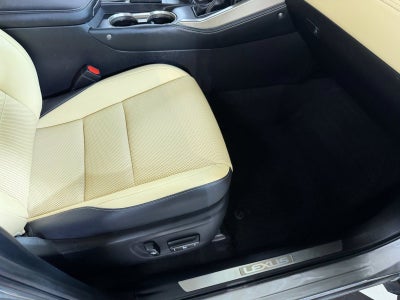2019 Lexus NX 300h