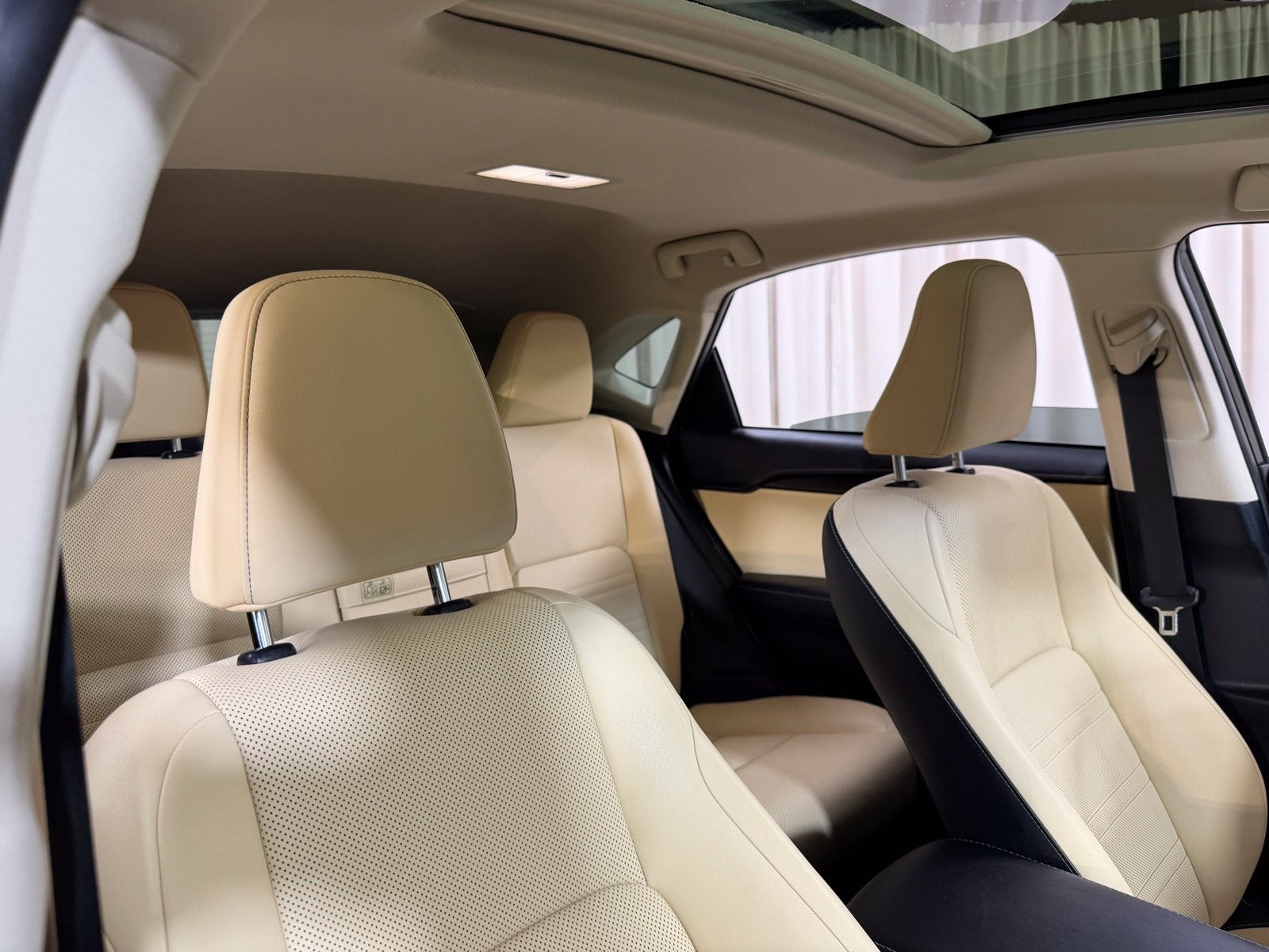 2019 Lexus NX 300h